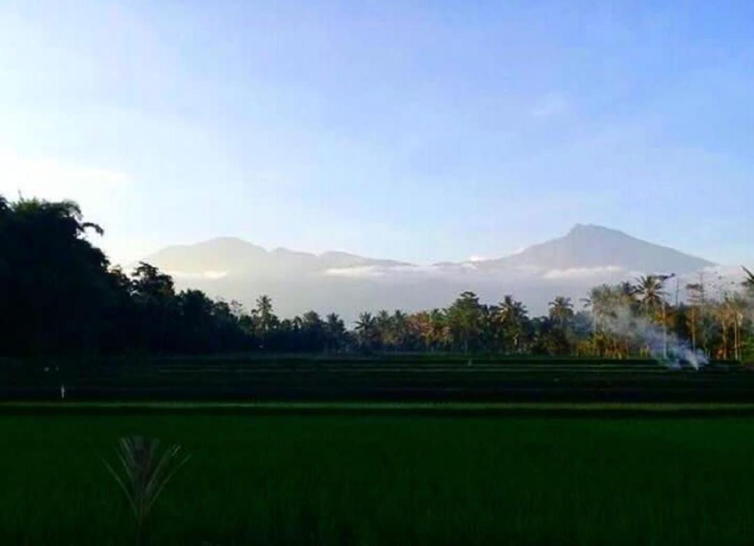 Apartmán Sky Garden Lombok Tetebatu Exteriér fotografie