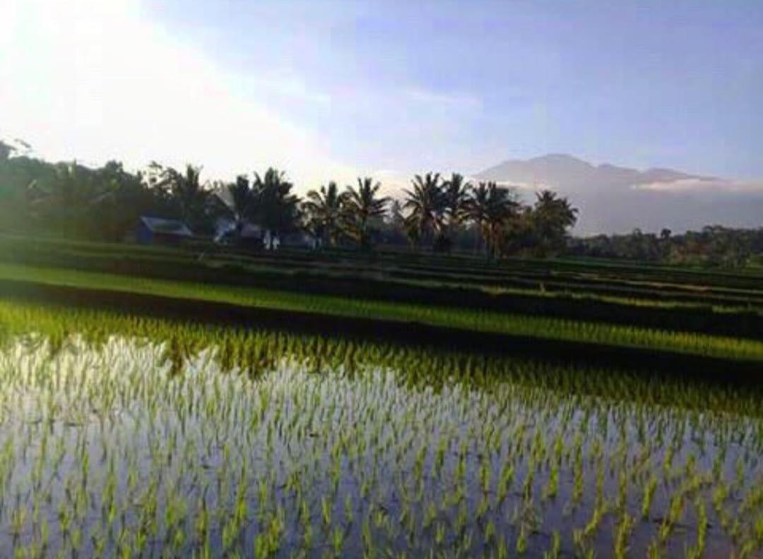 Apartmán Sky Garden Lombok Tetebatu Exteriér fotografie