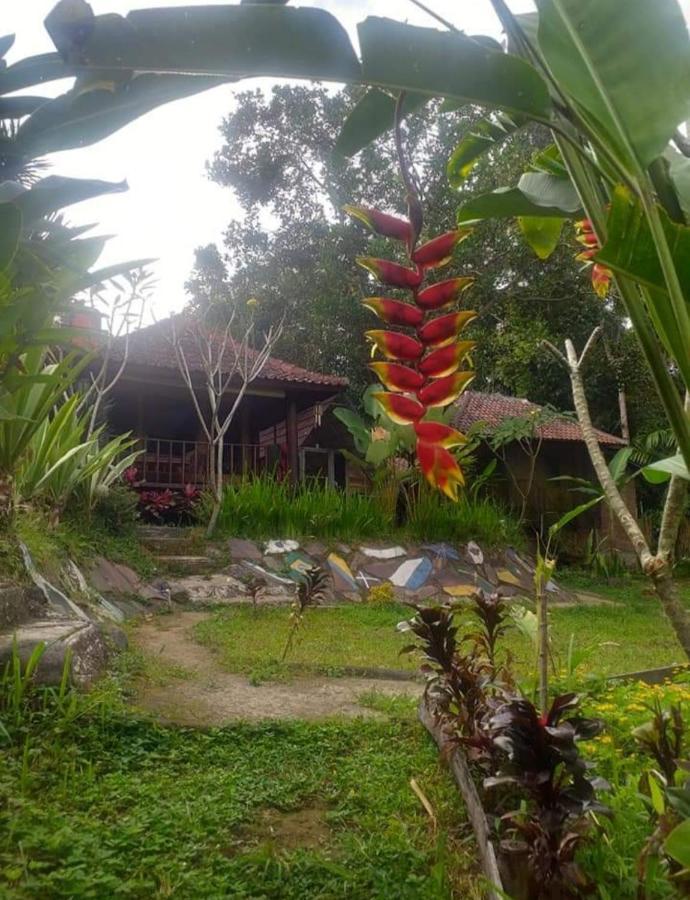 Apartmán Sky Garden Lombok Tetebatu Exteriér fotografie